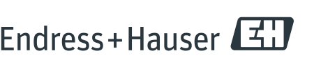 Endress+Hauser Logo